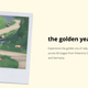 Image for article titled Art of Rally Is The Challenging But Zen Racing Game You Never Knew You Needed